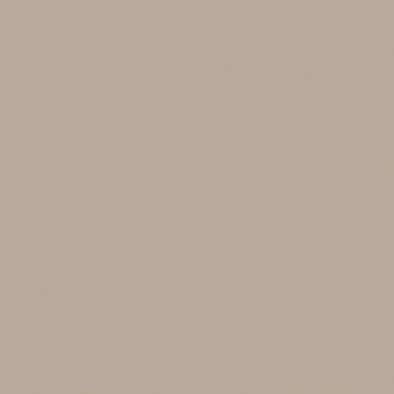Arena Arena