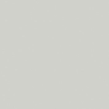 Gris 7035 Gris