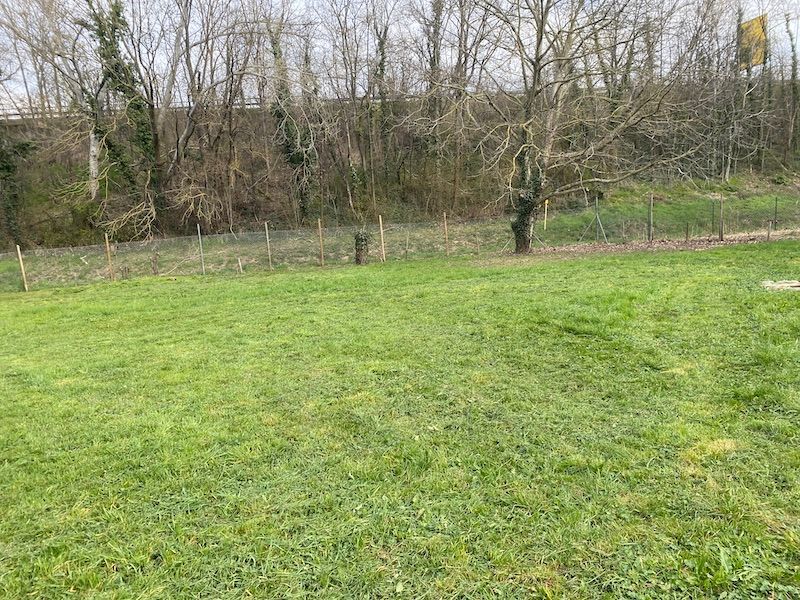 Gartenfläche mit grünem Rasen als Beispiel für eine erfolgreiche Entrümpelung.