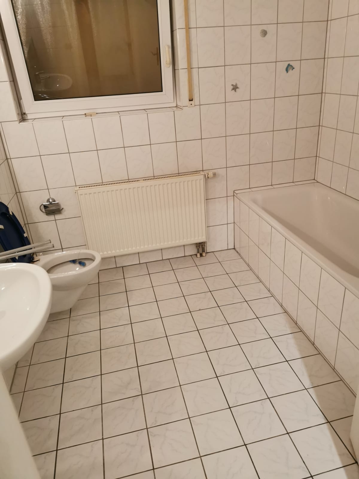 Nach der Reinigung durch das Team Molitor – Badezimmer in Erbenheim wieder nutzbar