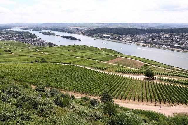 panoramabild vom rheingau