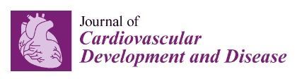 Journal of Cardiovascular Development and Disease