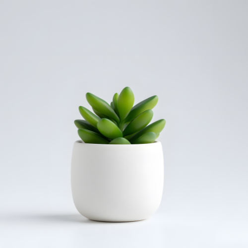 executive coaching for senior leaders with Kelley Johnson