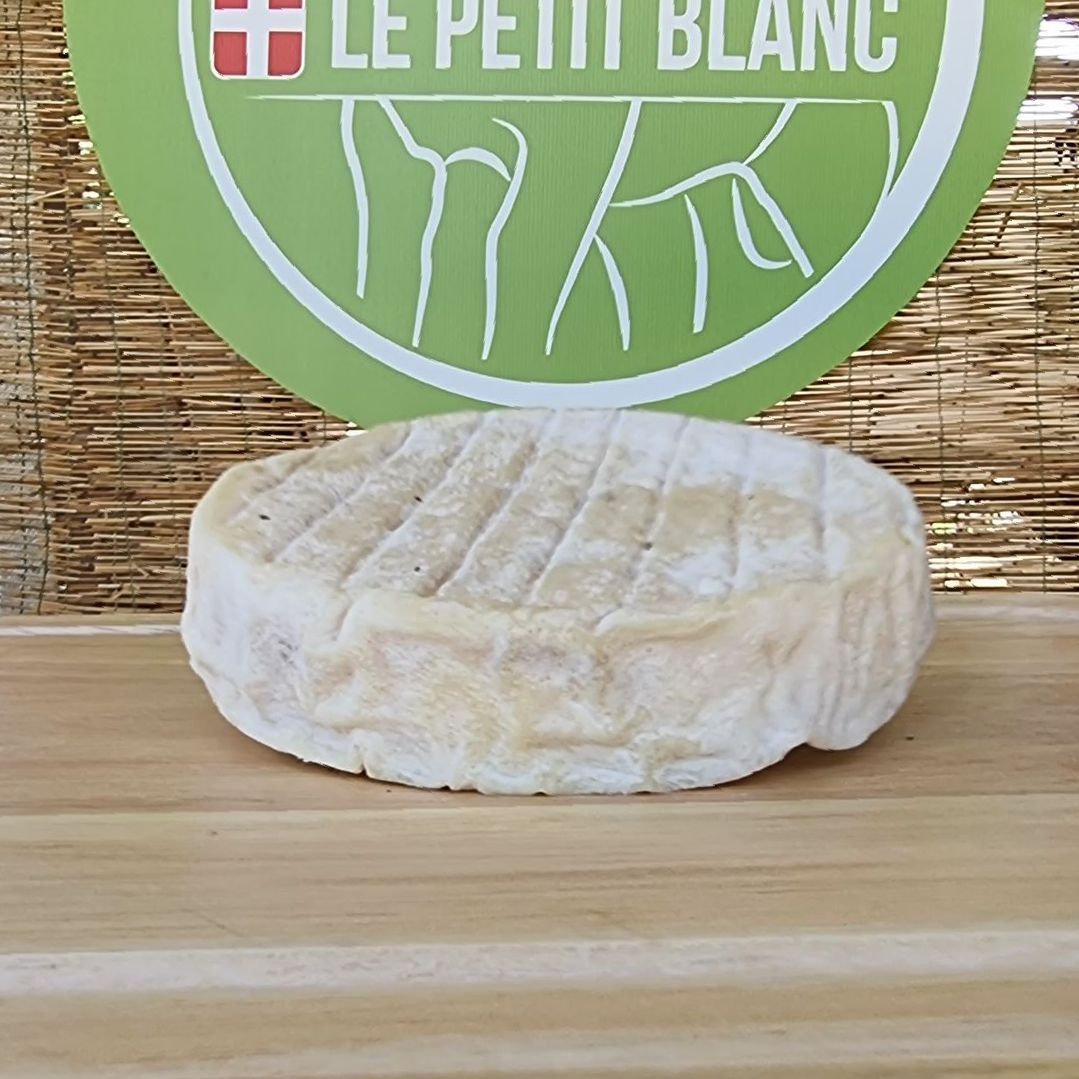 Le Petit Blanc