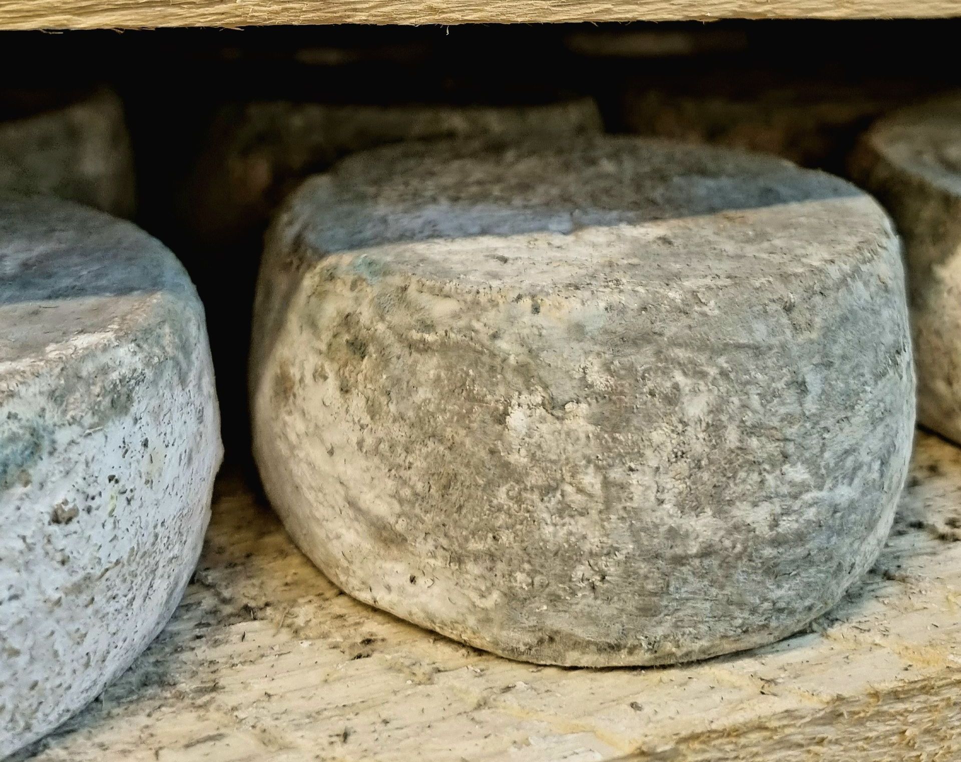 nos fromages fermiers : un voyage culinaire saisonnier