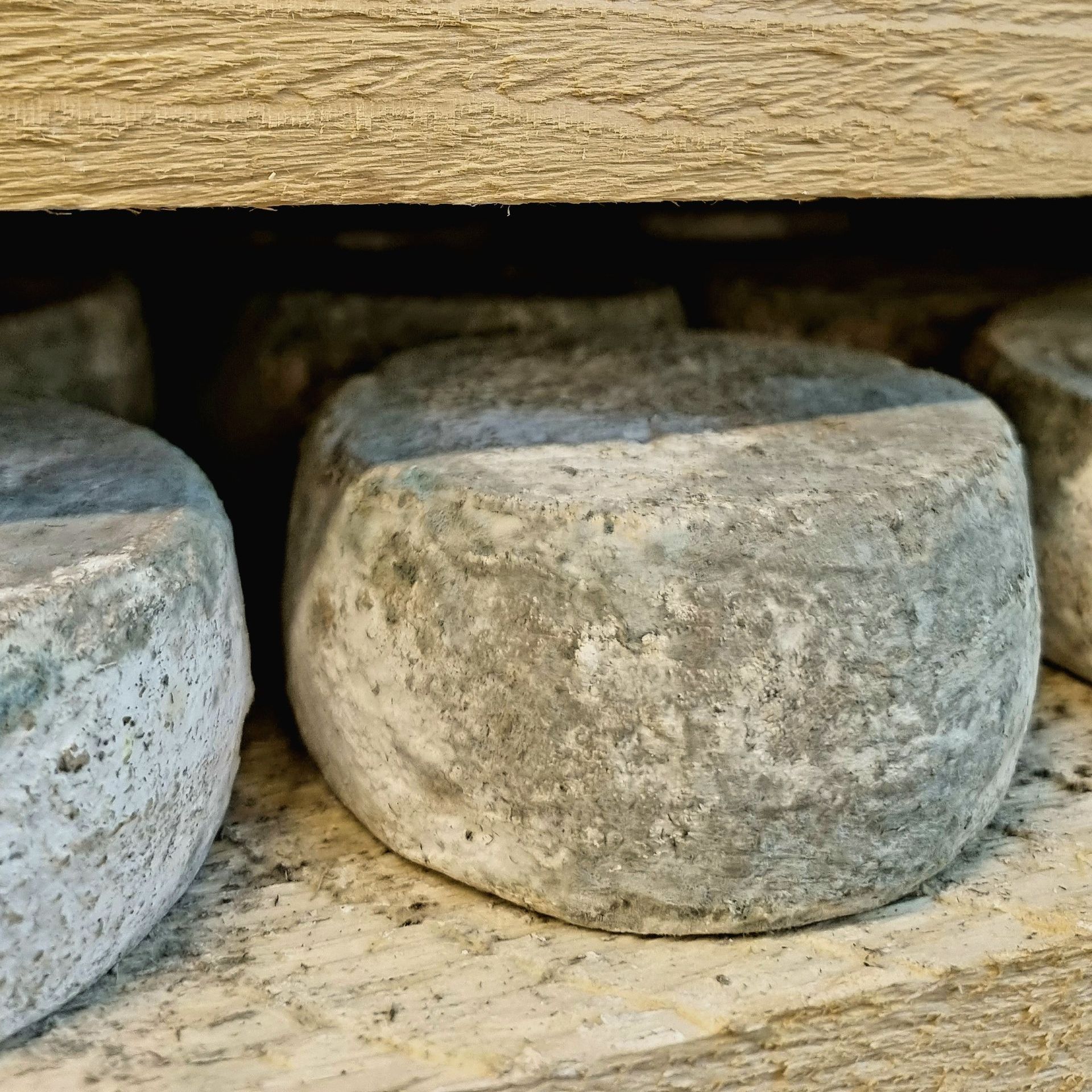 La Tomme de Lierre La Tomme de Lierre
