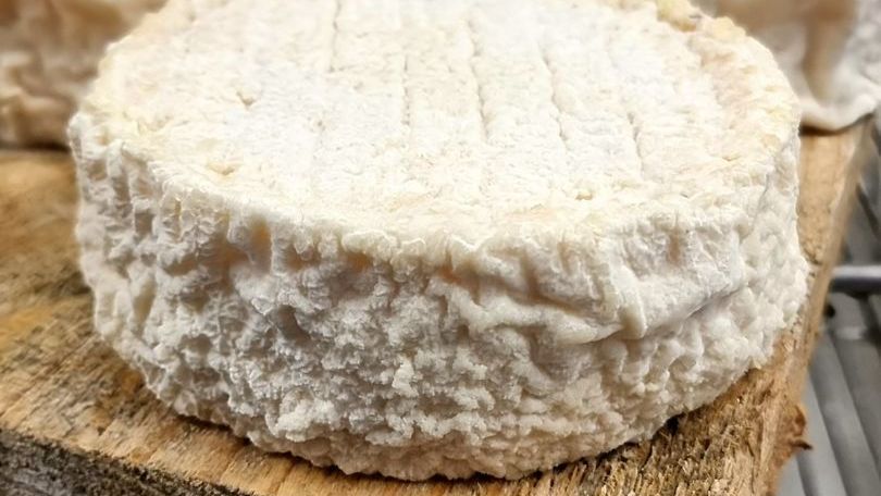 L'Art vivant  : pourquoi votre fromage est unique