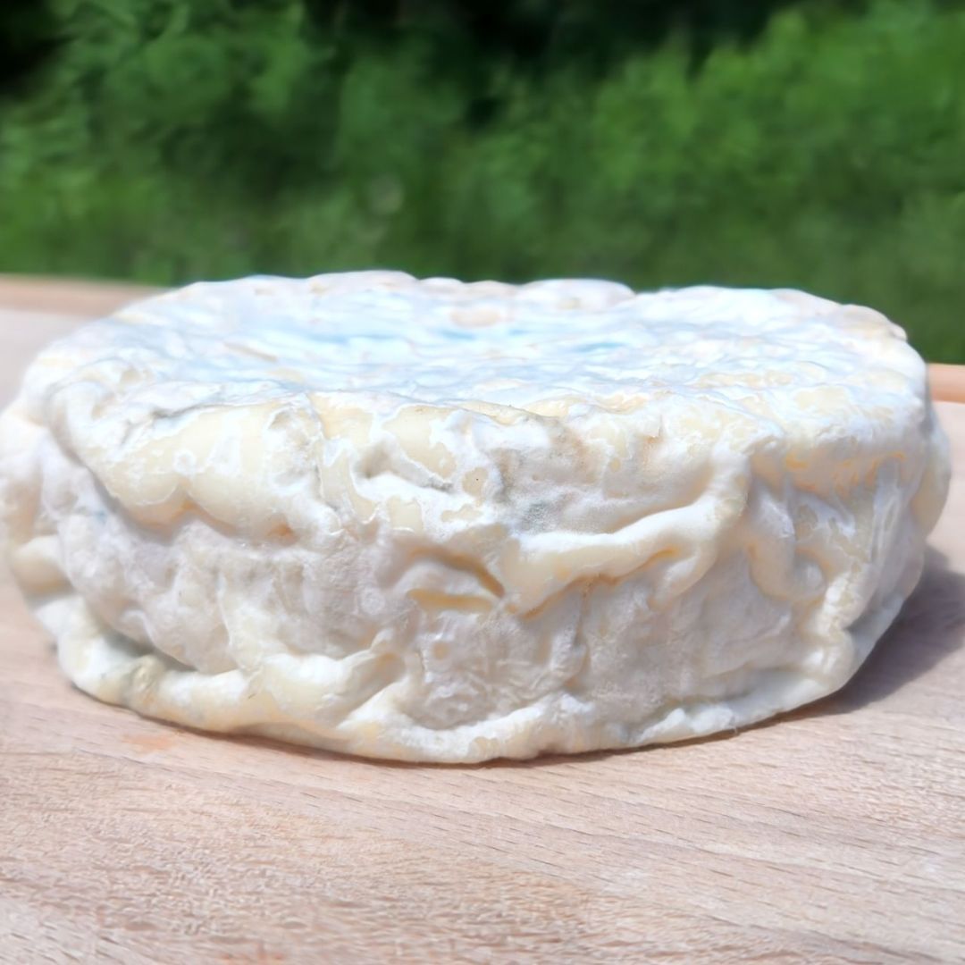 Le Petit Blanc Le Petit Blanc