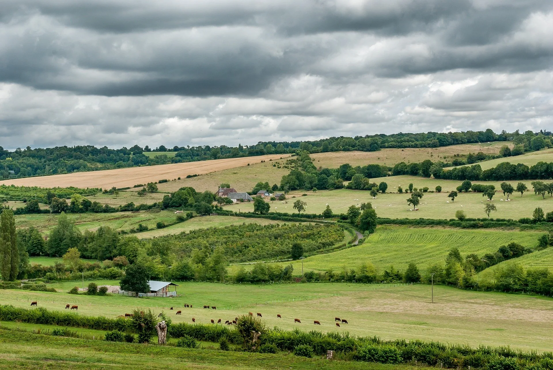 Landschaft, sanfter Hügel mit Feldern und Wiesen. jede parzelle ist von einer Baumhecke umrandet, verzinezlte bäume in den wiesen