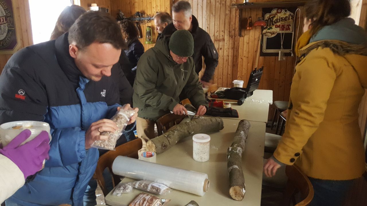 seminargruppe bei der praktischen arbeit. holzstämme werden mit pilzbrut geimpft. werkzeug sind hammer, akkuschrauber, schraubenzieher, motorsäge