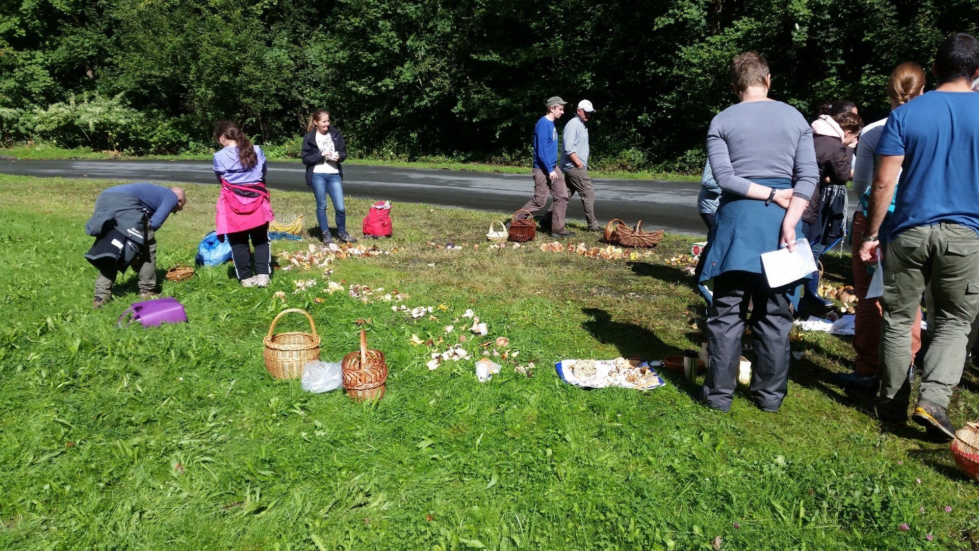 pilzsammler stehen in gruppe und bestimmen die gefundenen Pilze