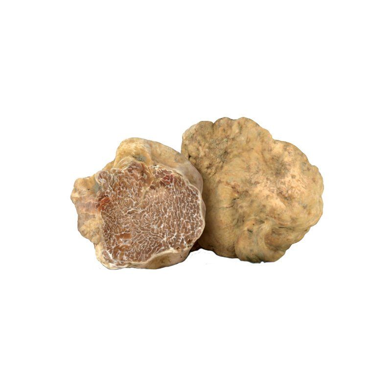 eine aufgeschnittene und eine vollständige Knolle der Albatrüffel