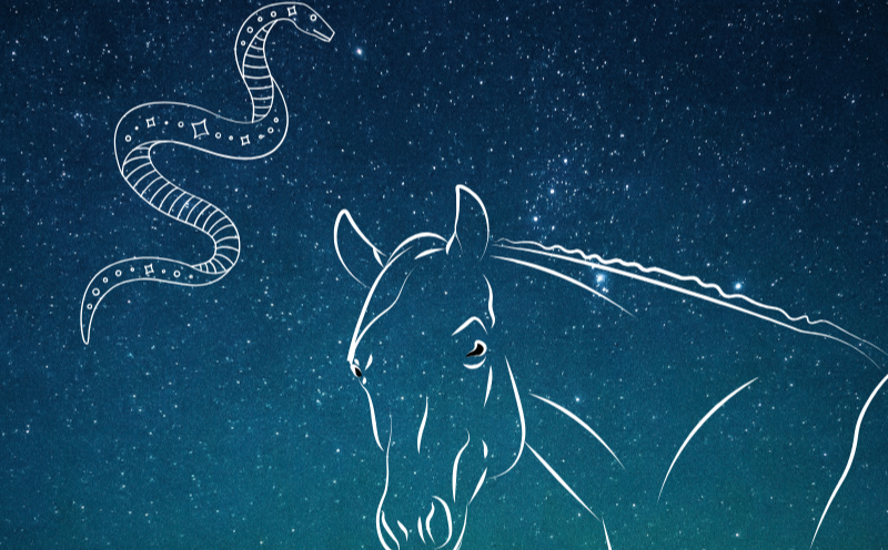 We shed and then Soar - the Year of the Horse 2026