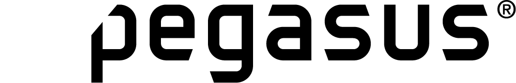 Pegasus logo