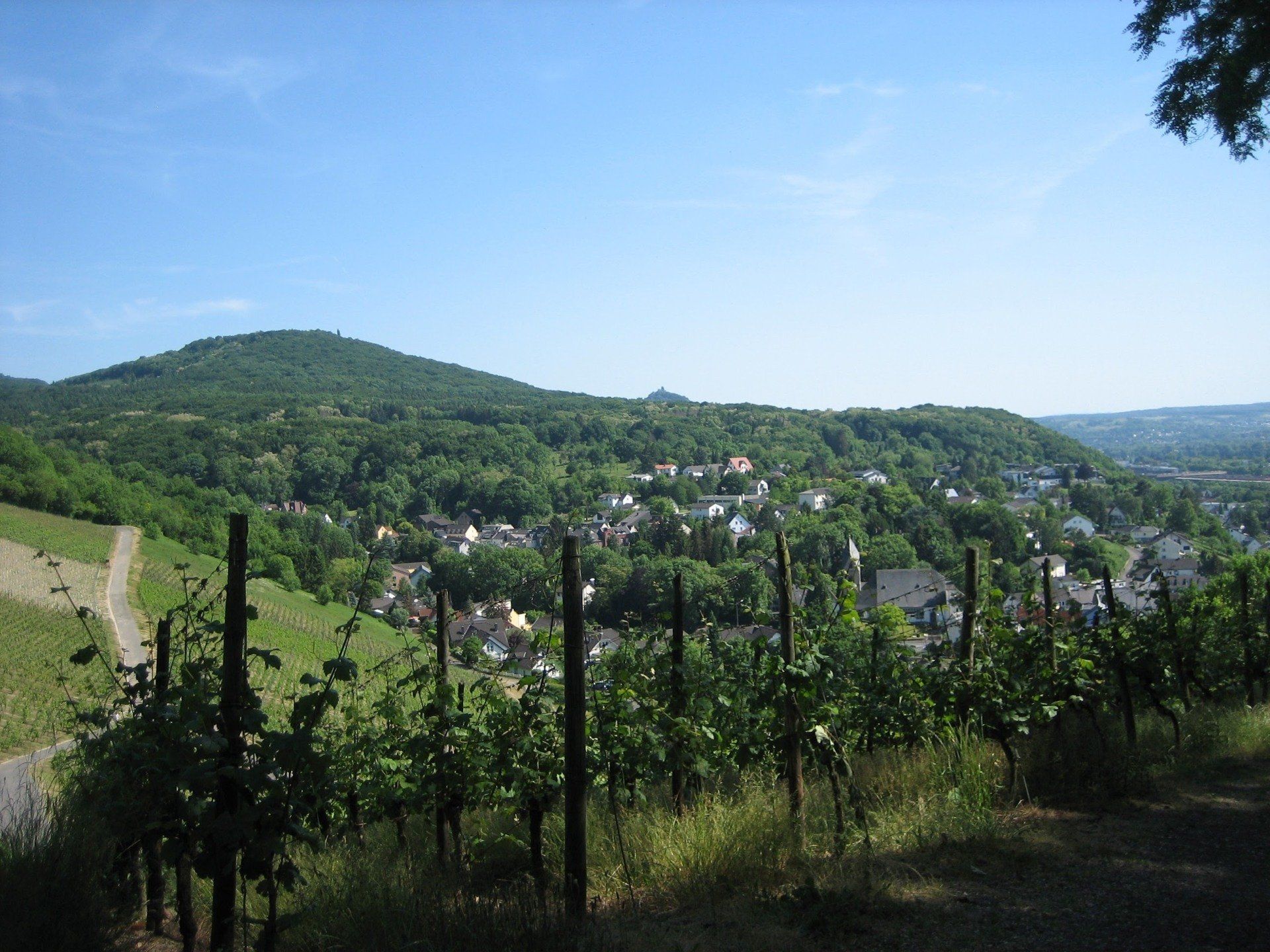 Weinberge Oberdollendorf, Hülle, Blick auf Petersberg