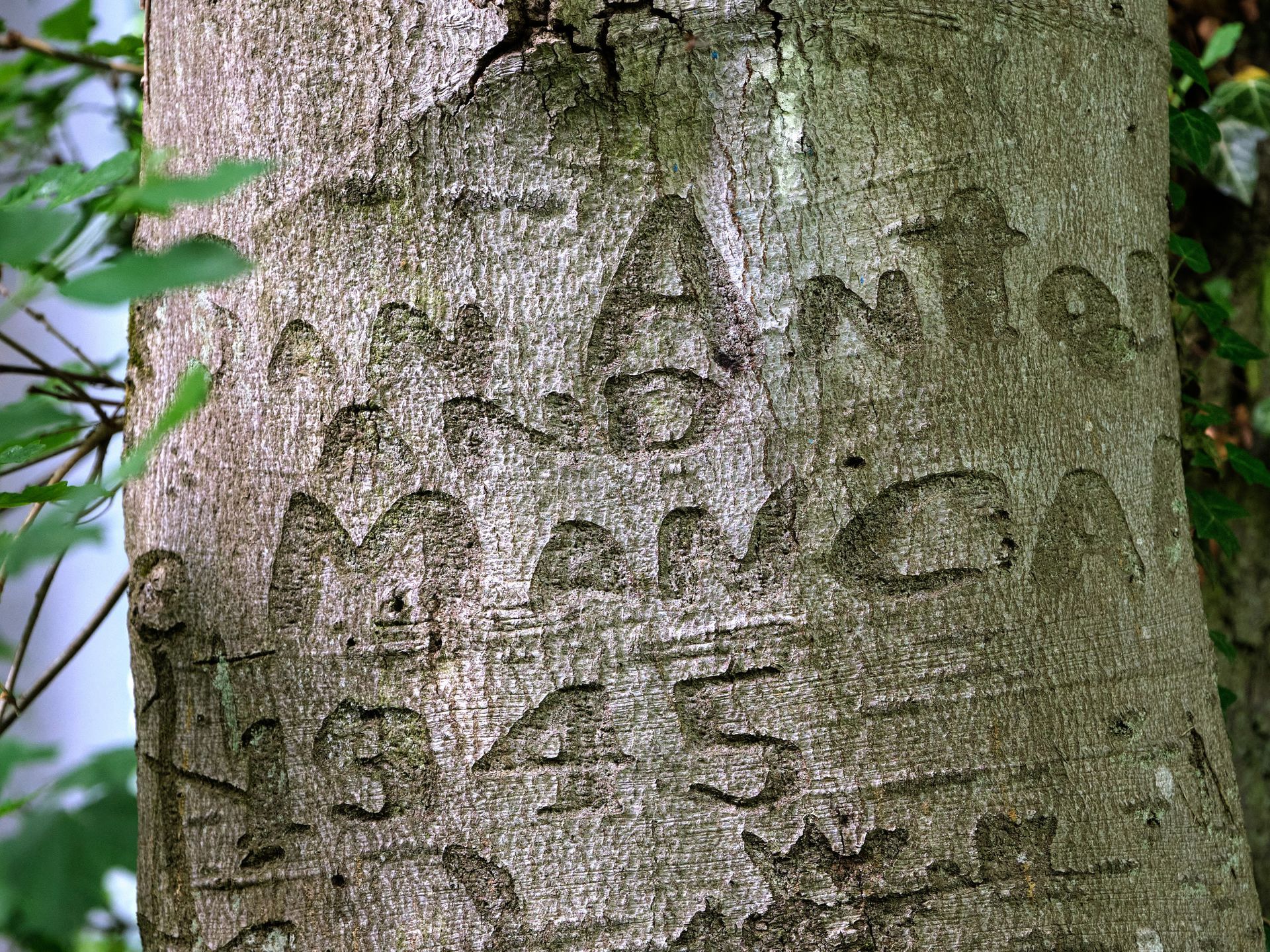 Graffiti von zwei US - Soldaten 1945, Petersberg
