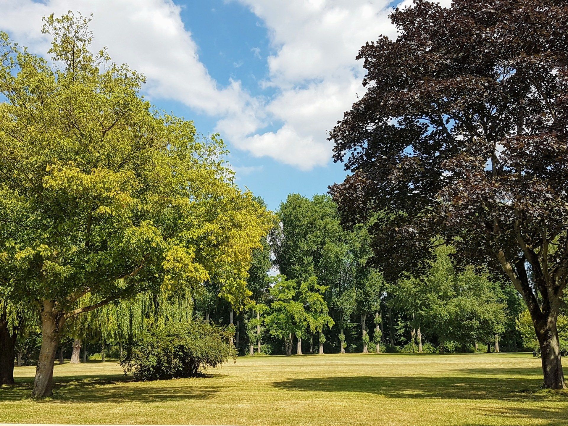 Parkanlagen auf Grafenwerth