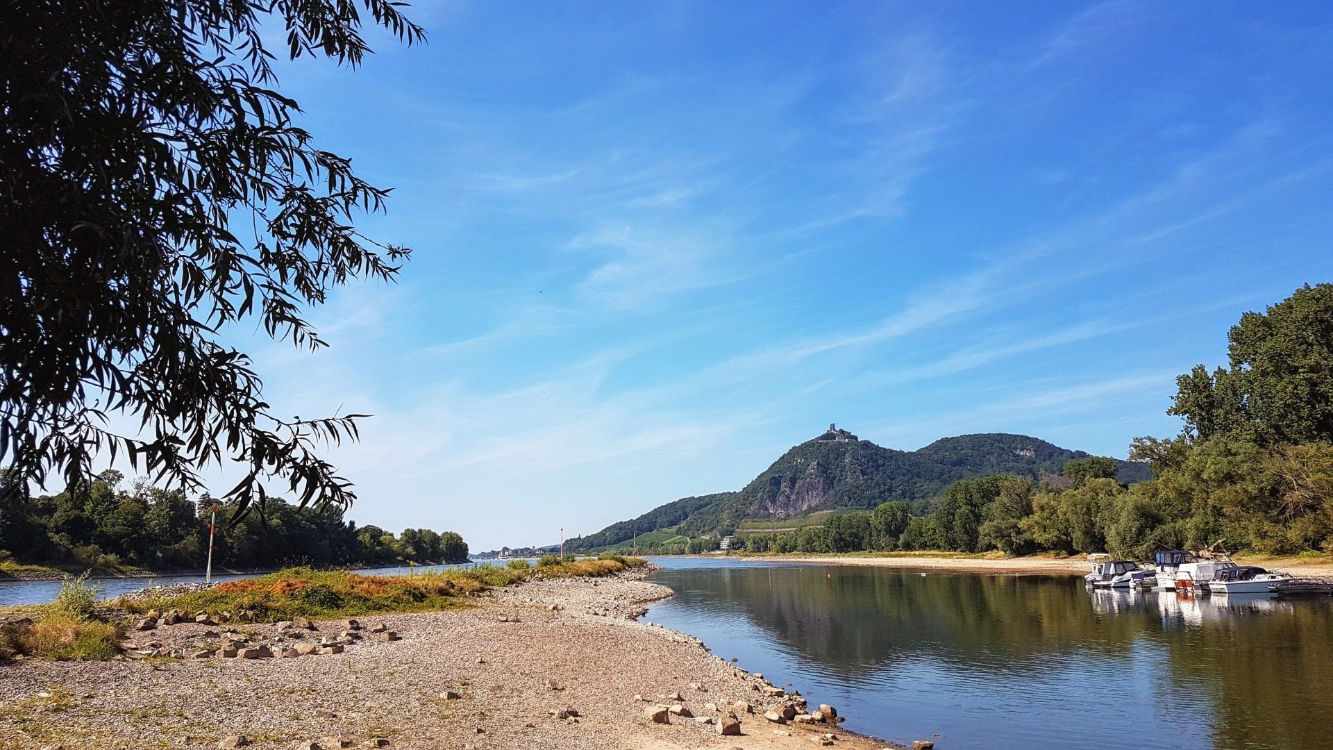 Drachenfels