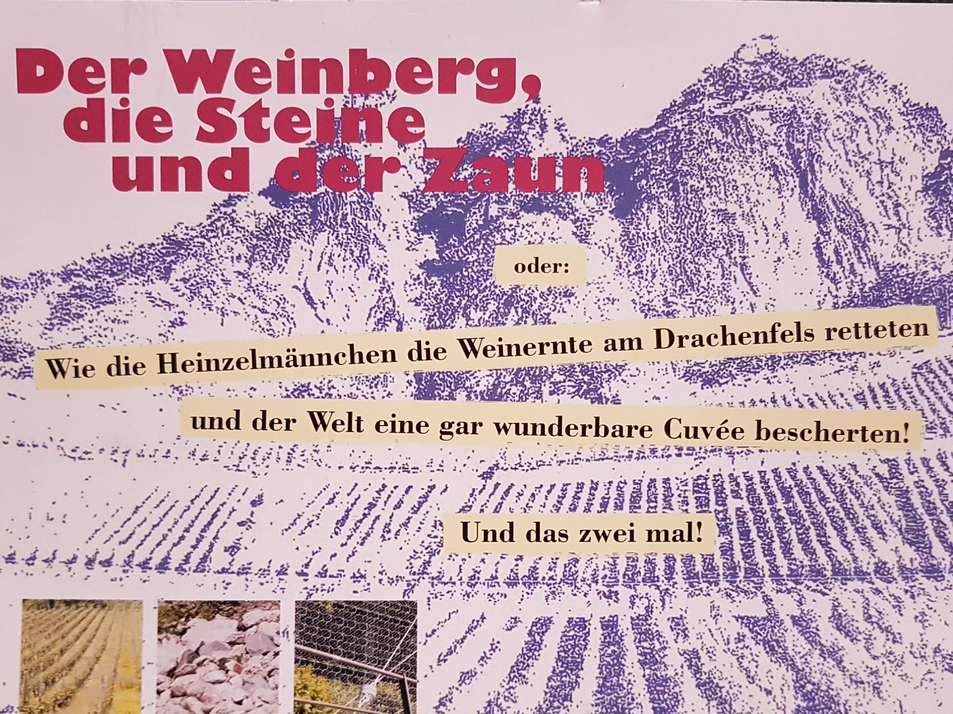 Schutzzaun Buchprojekt