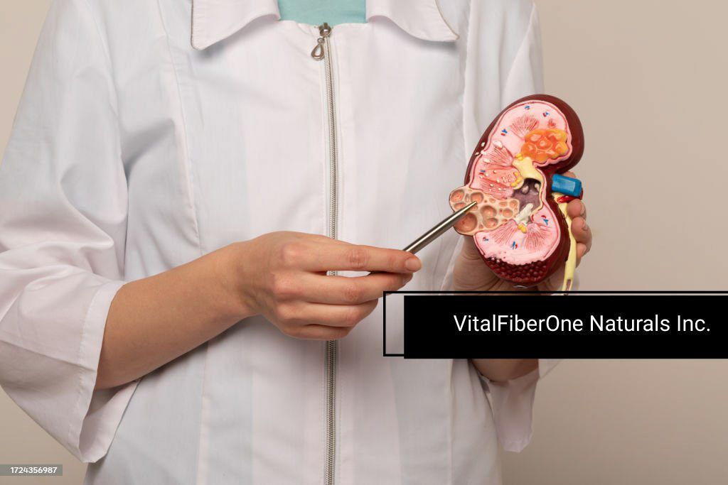 Why Nephrologists Recommend Acacia Fiber for Kidney Disease Patients