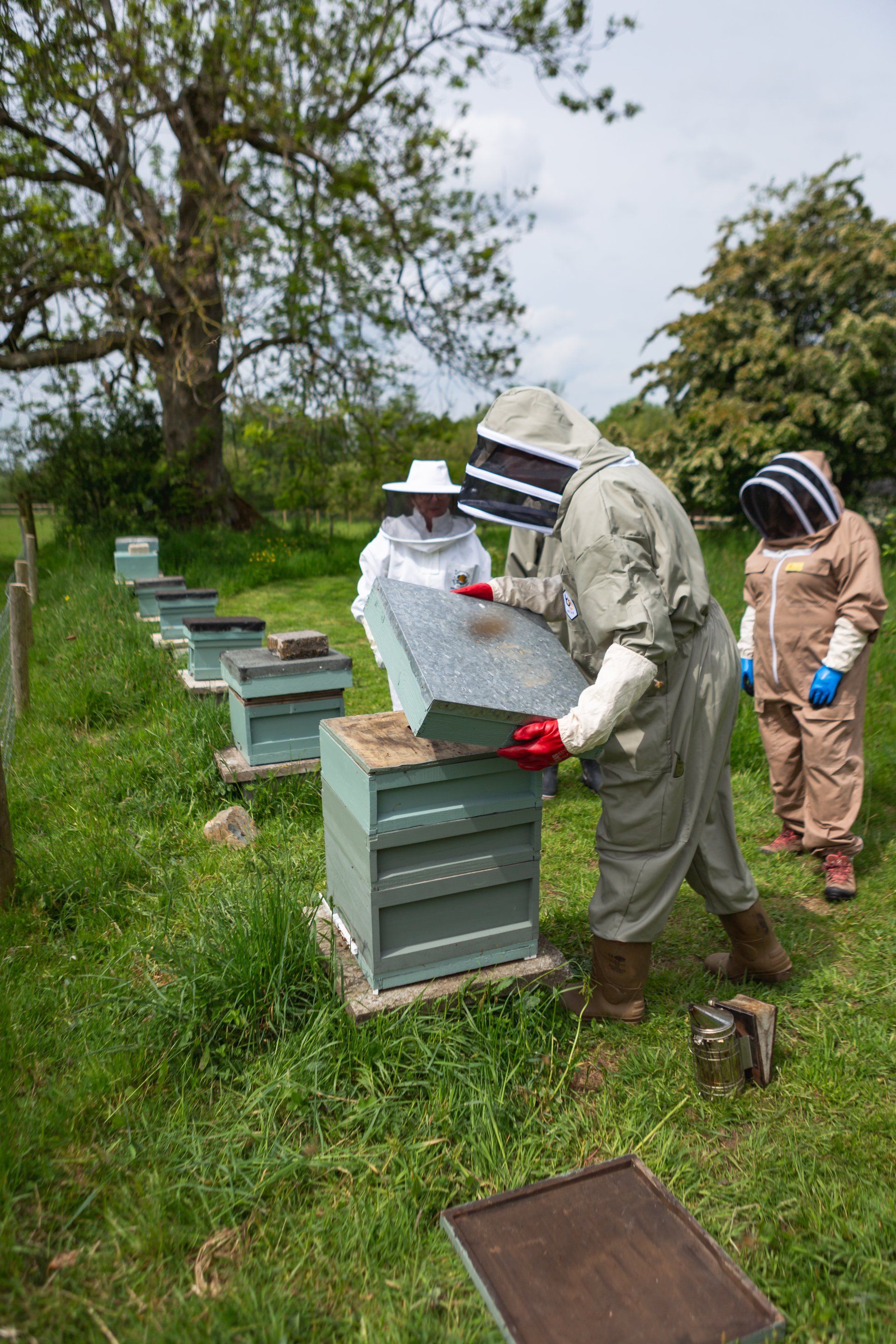 maximum of 4 on each training course