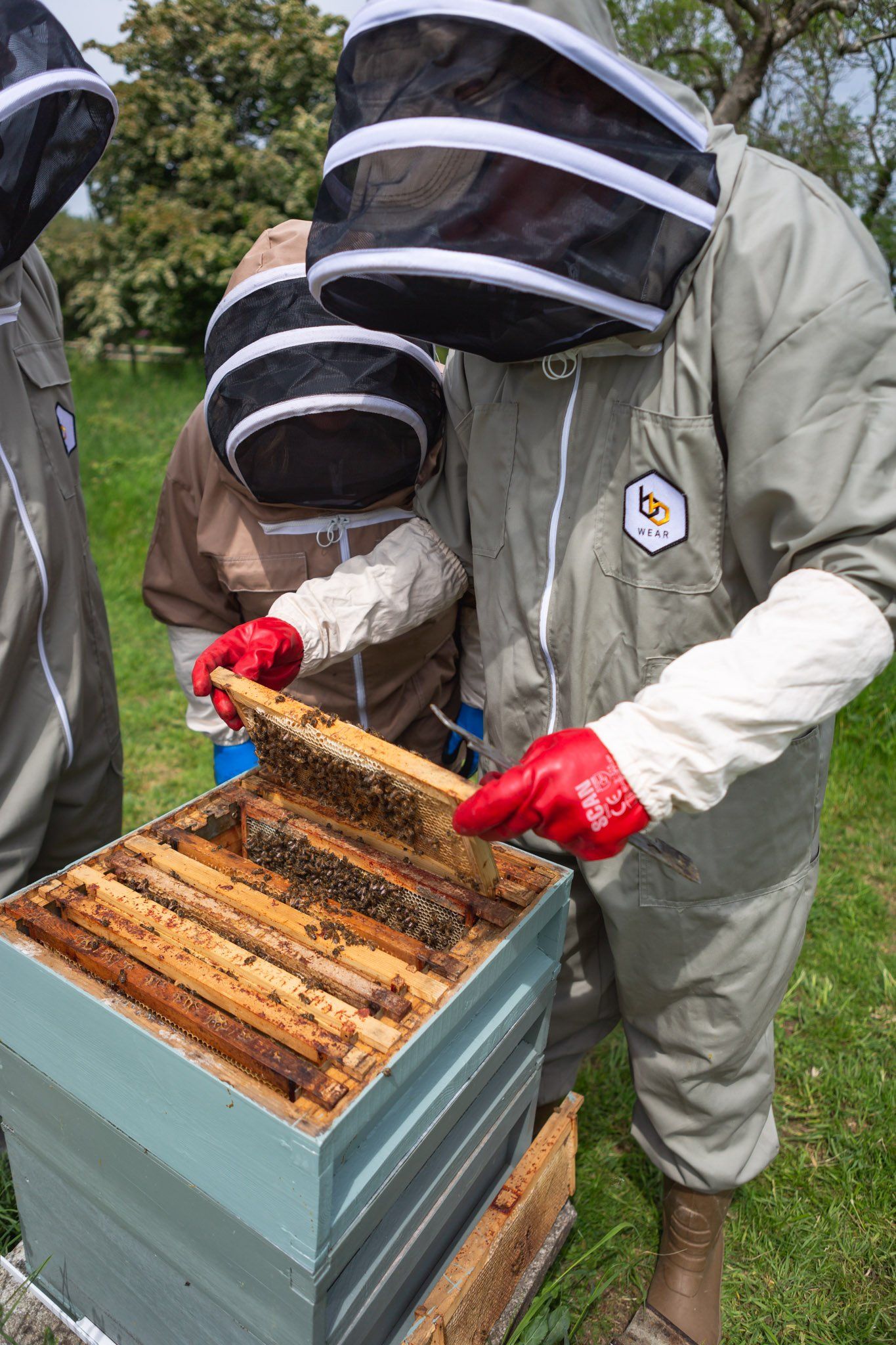 unhindered view of the hive on courses and experiences