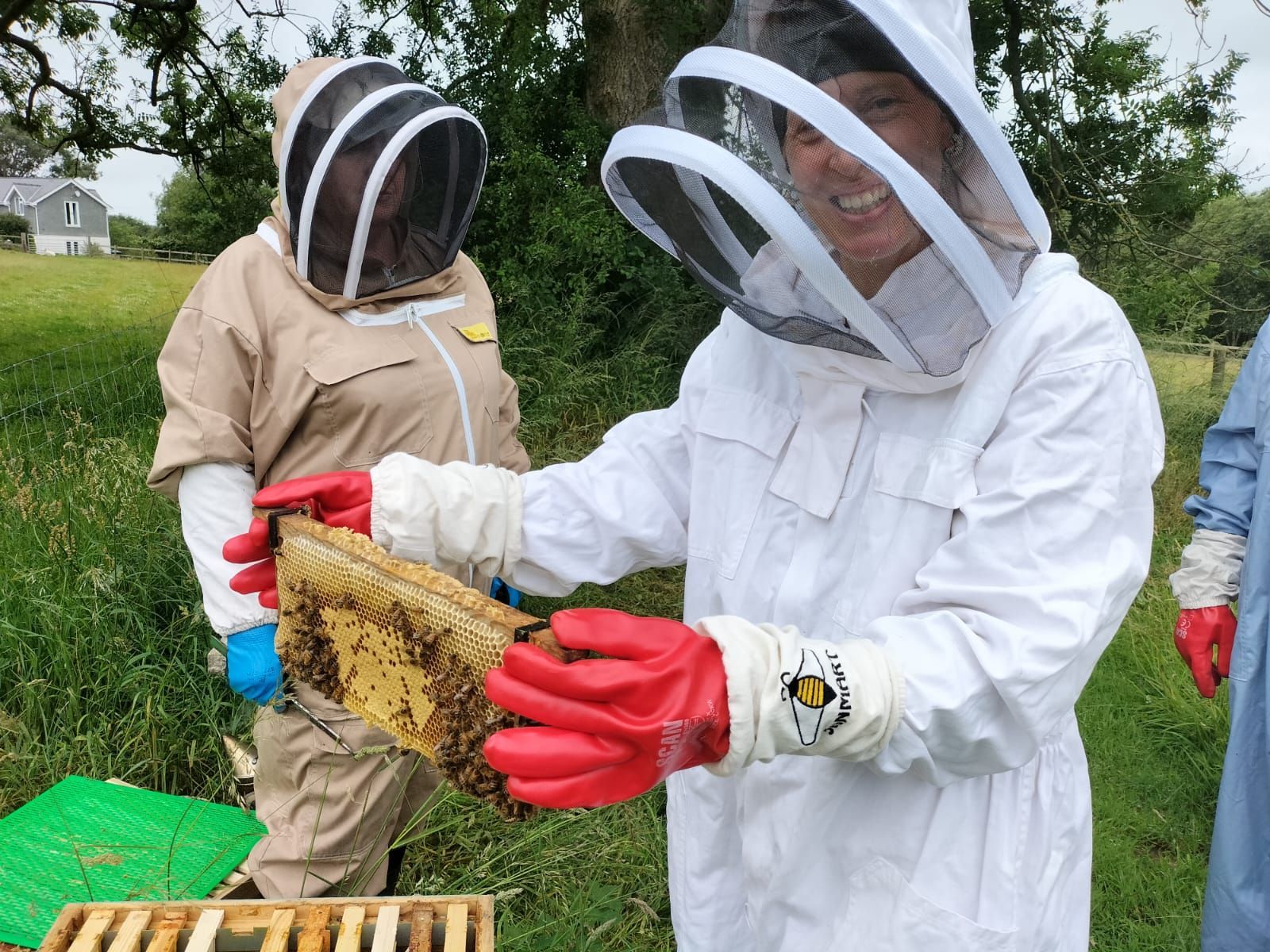 Beekeeping experiences are fun!