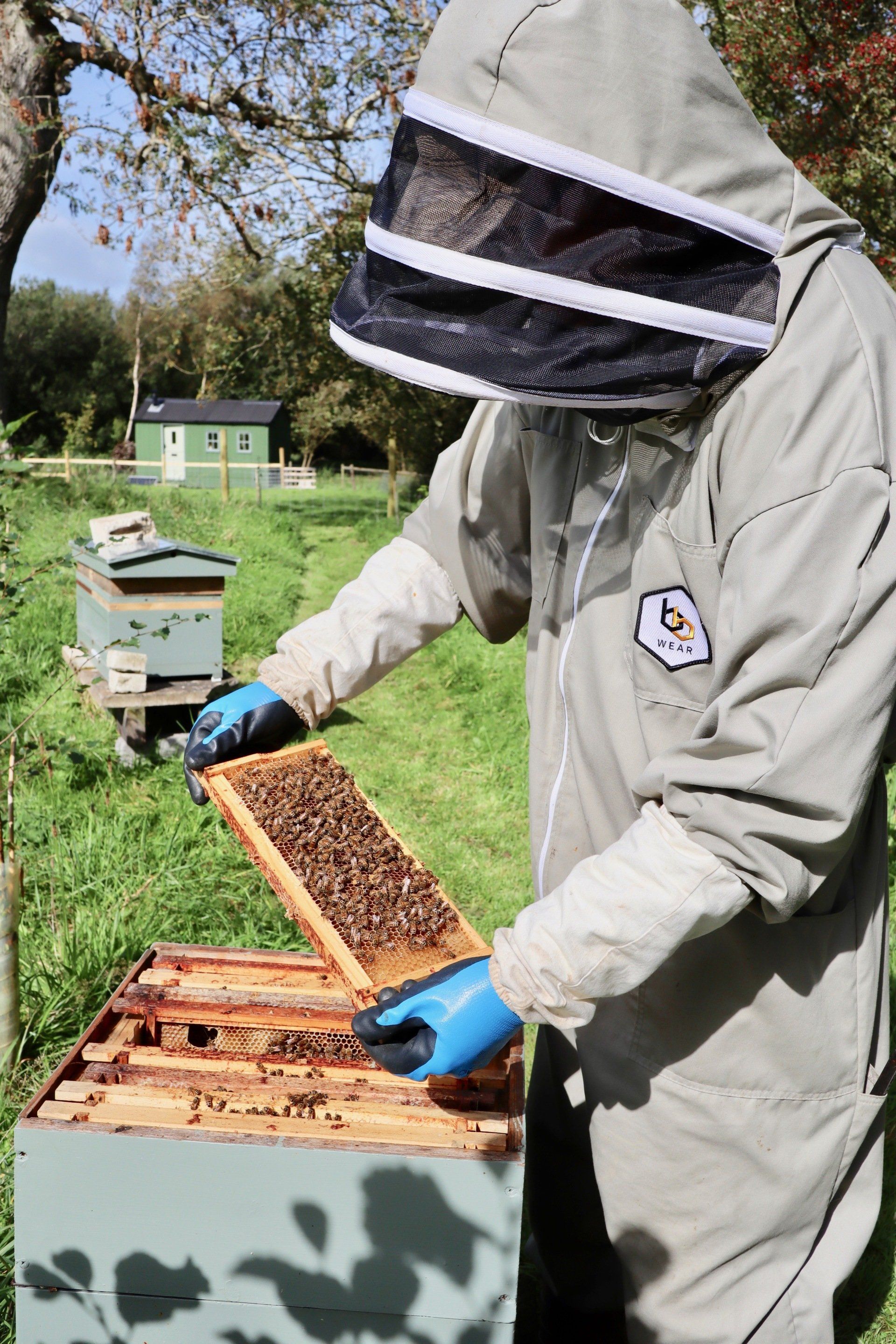 advice on hives and equipment