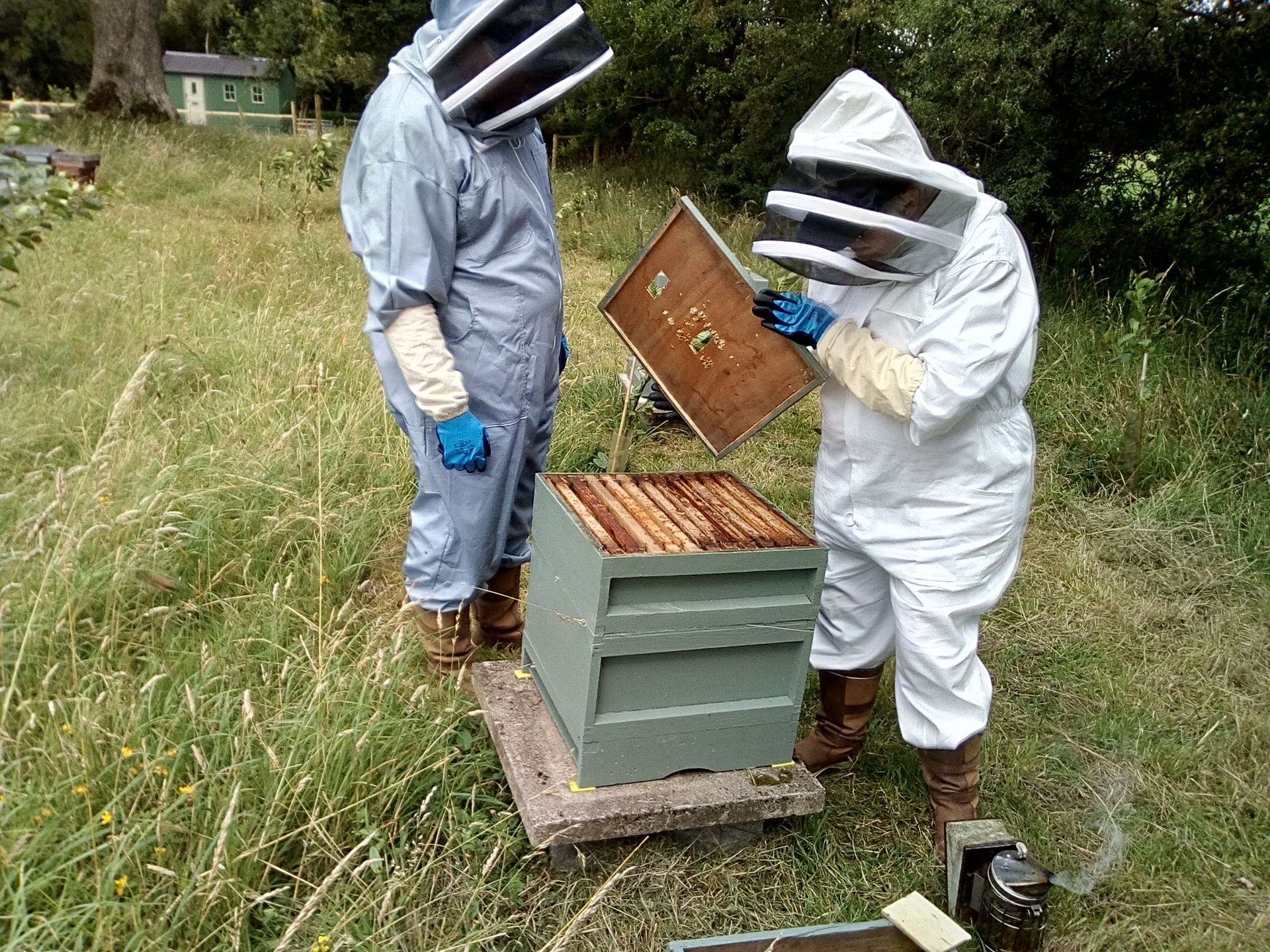 You will be inspecting hives by yourself by the end of the second day