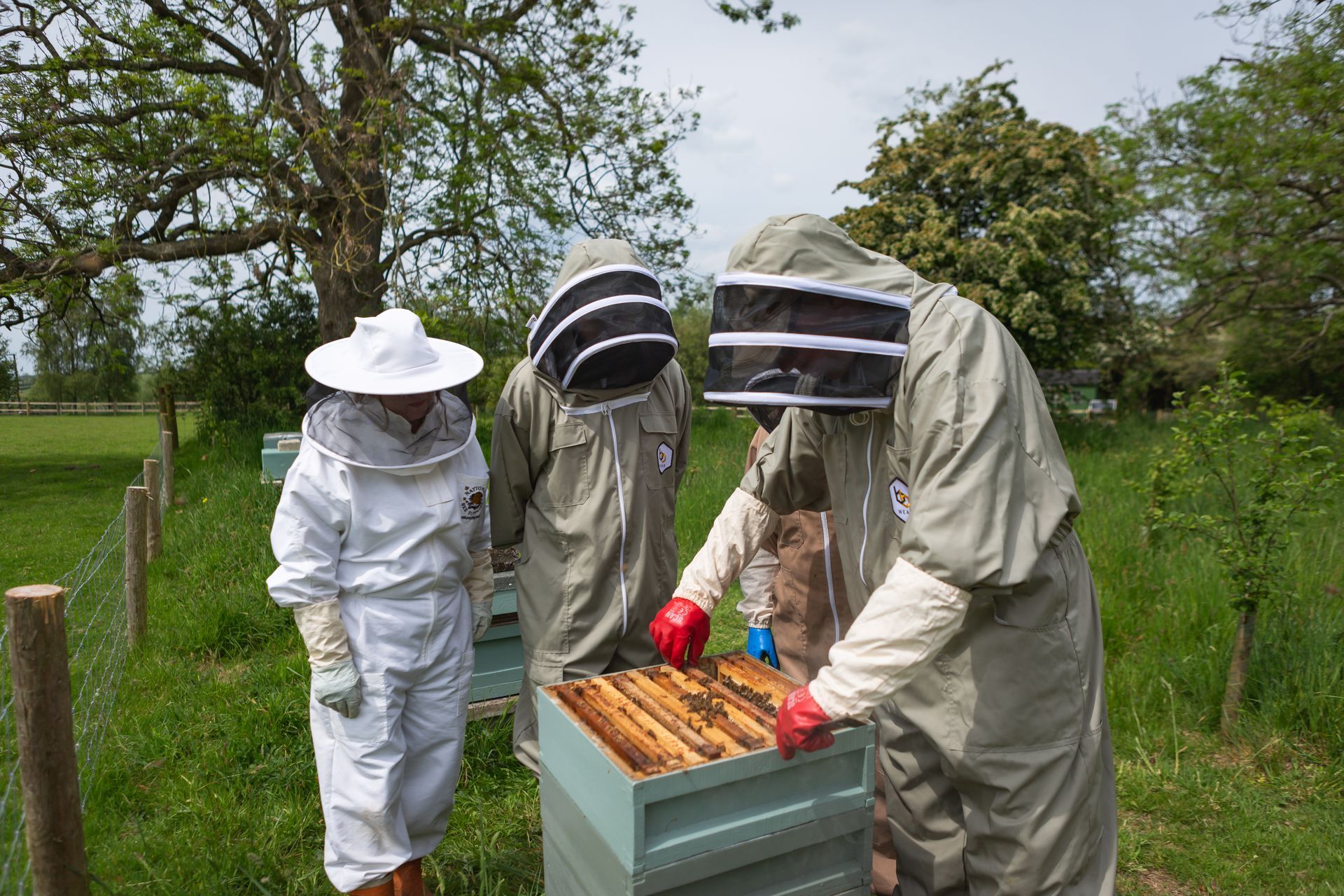 an action packed experience, see the bees, taste some honey, make a bees wax candle and more!