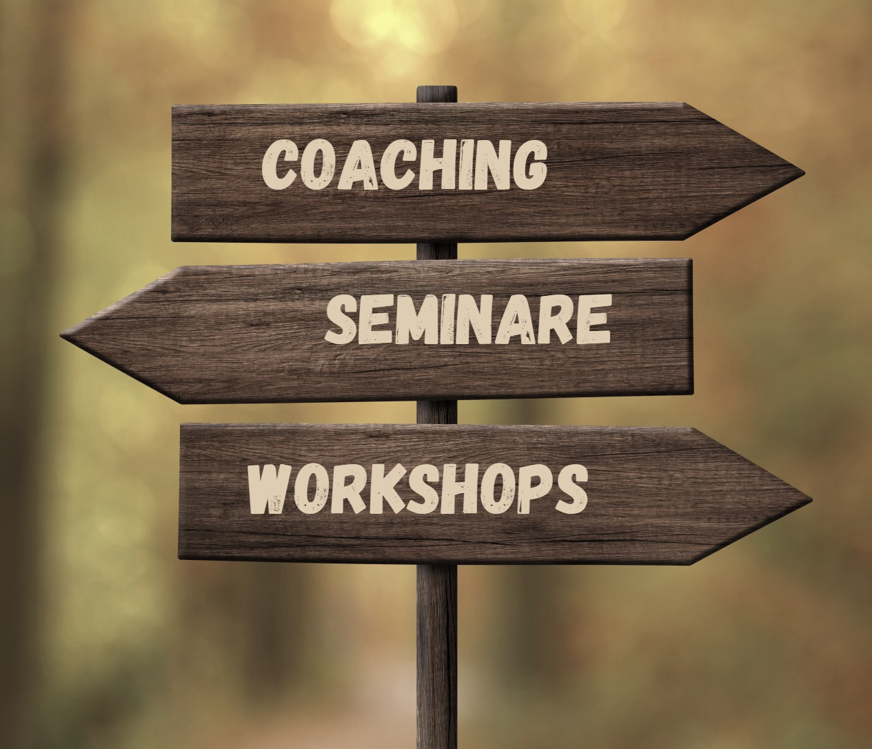 Ute Netzmann The Work Byron Katie Seminare Coaching