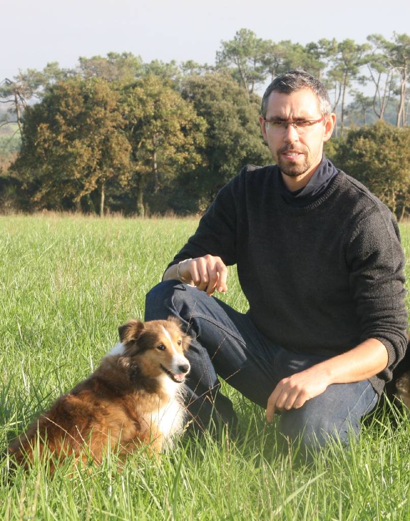 Chien détendu