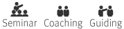 Die Trainingsformate für Berater: Seminar Coaching Guiding