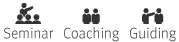 Die unterschiedlichen Formate für die Berater-Trainings Die Trainingsformate für Berater: Seminar Coaching Guiding