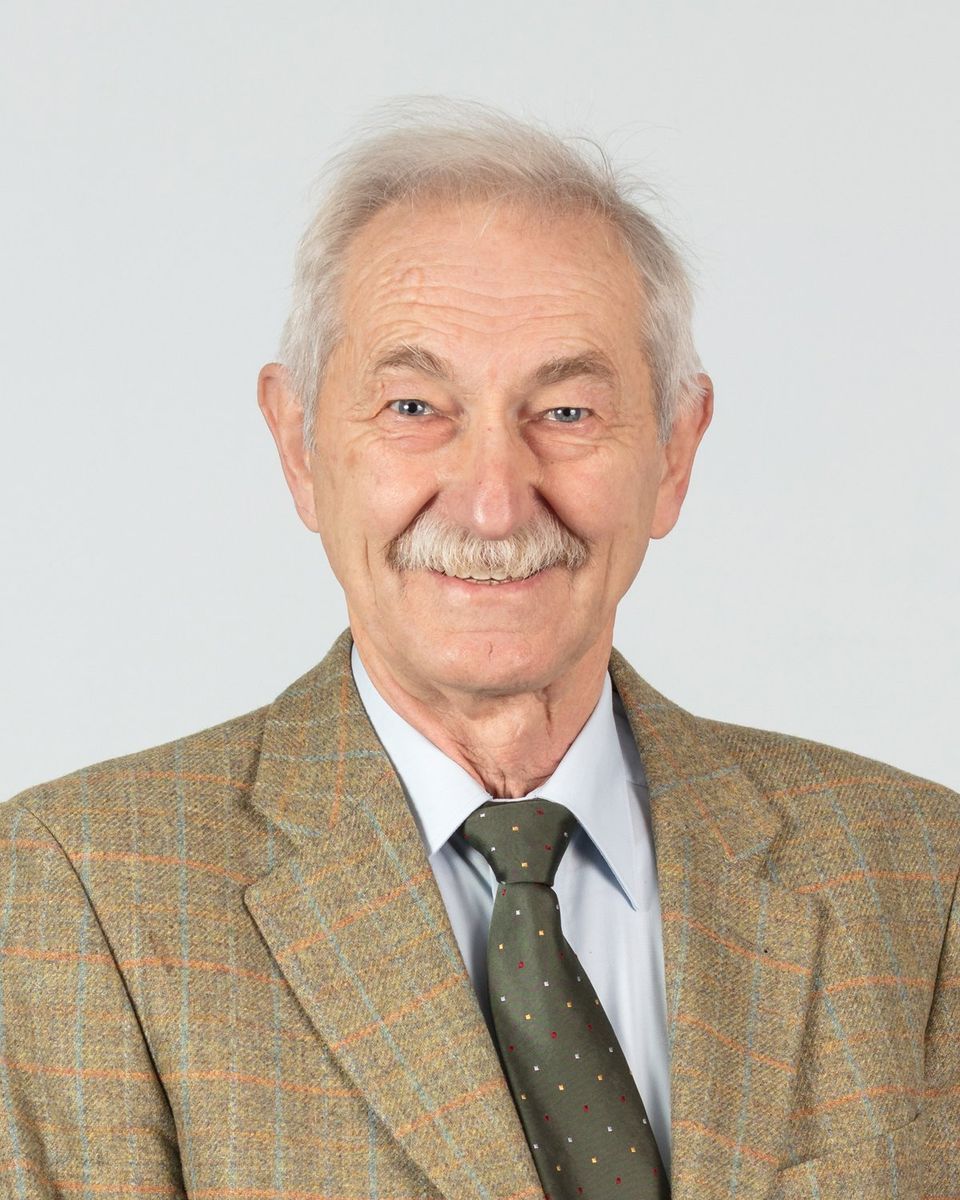 Christian Stelting Christian Stelting