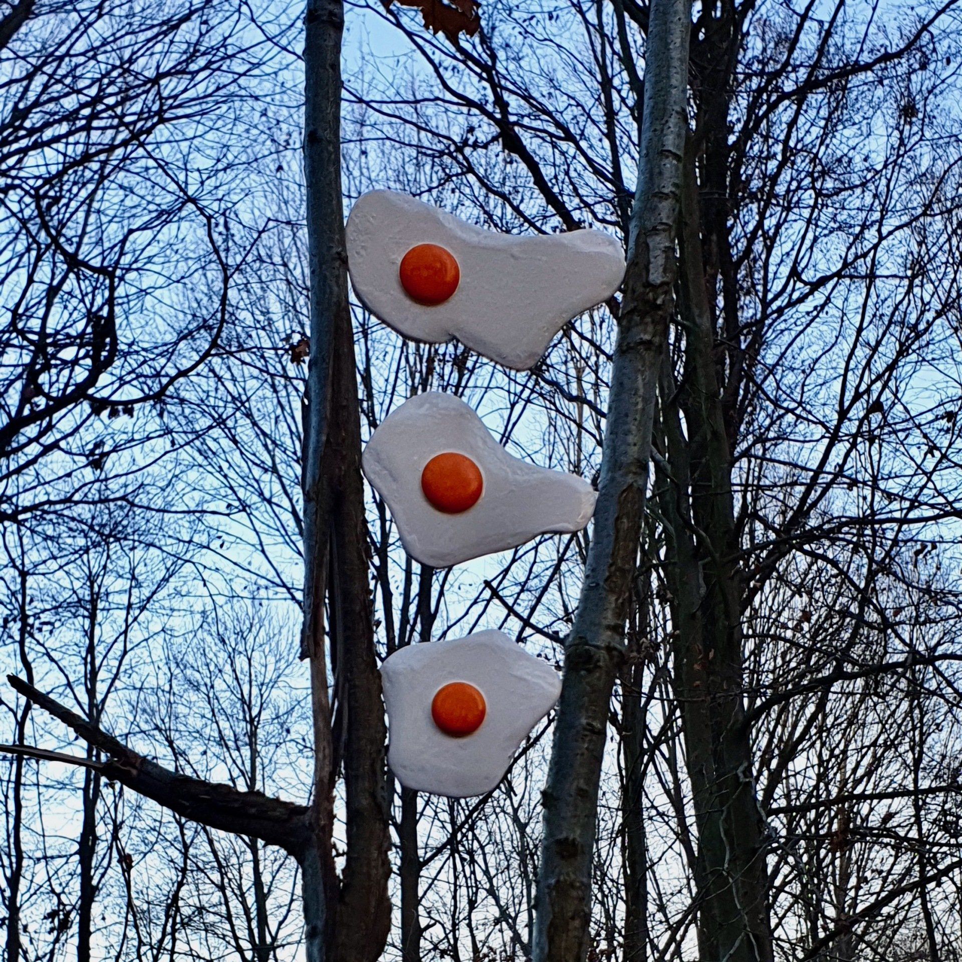 Das Bild zeigt Spiegeleier-Skulpturen von Bildhauer und Künstler Oliver Pohl aus Haste bei Wunstorf am Steinhuder Meer. Das Foto ist im Haster Wald entstanden.