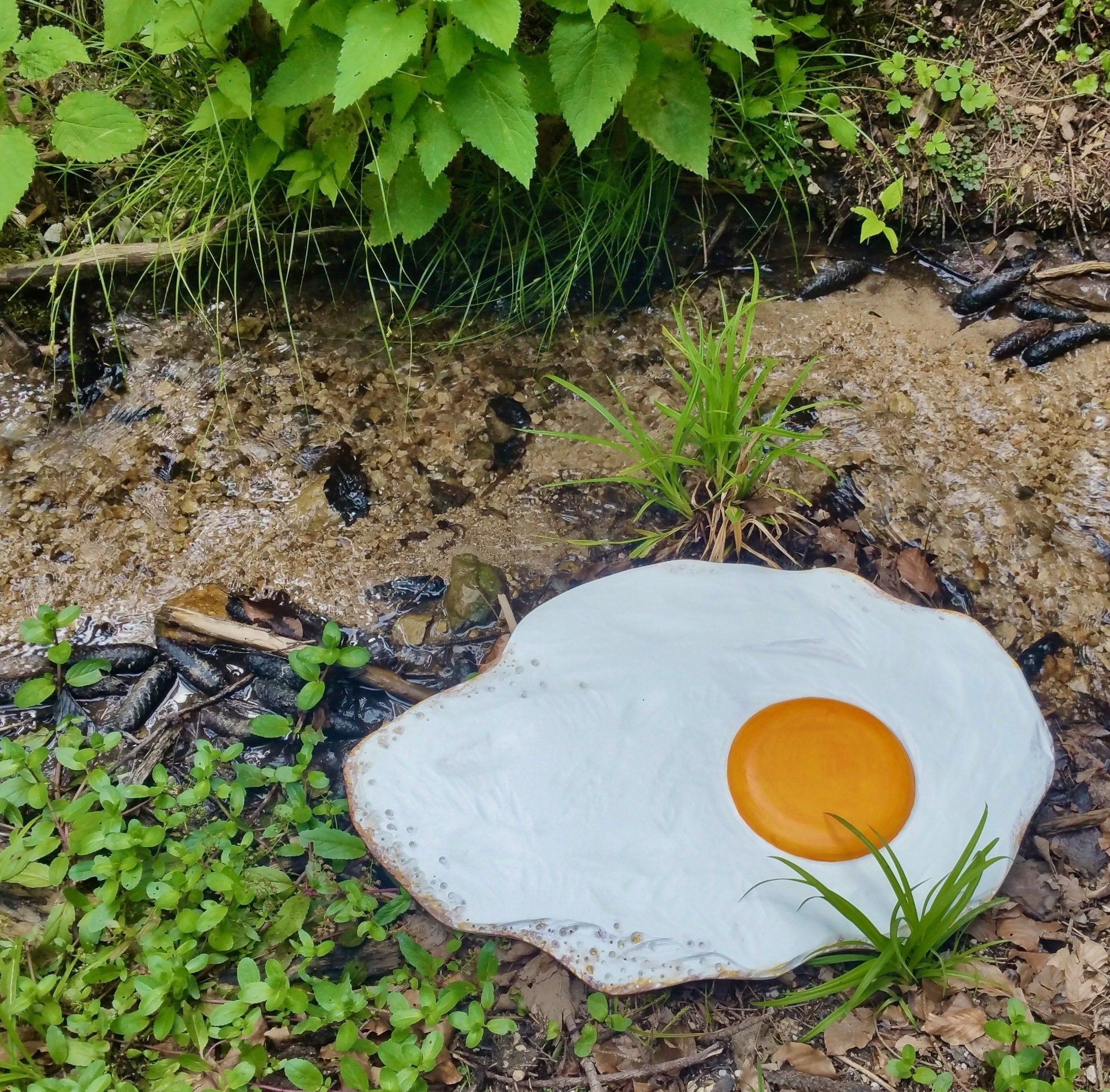 Das Bild zeigt Spiegeleier-Skulpturen von Bildhauer und Künstler Oliver Pohl aus Haste bei Wunstorf am Steinhuder Meer.