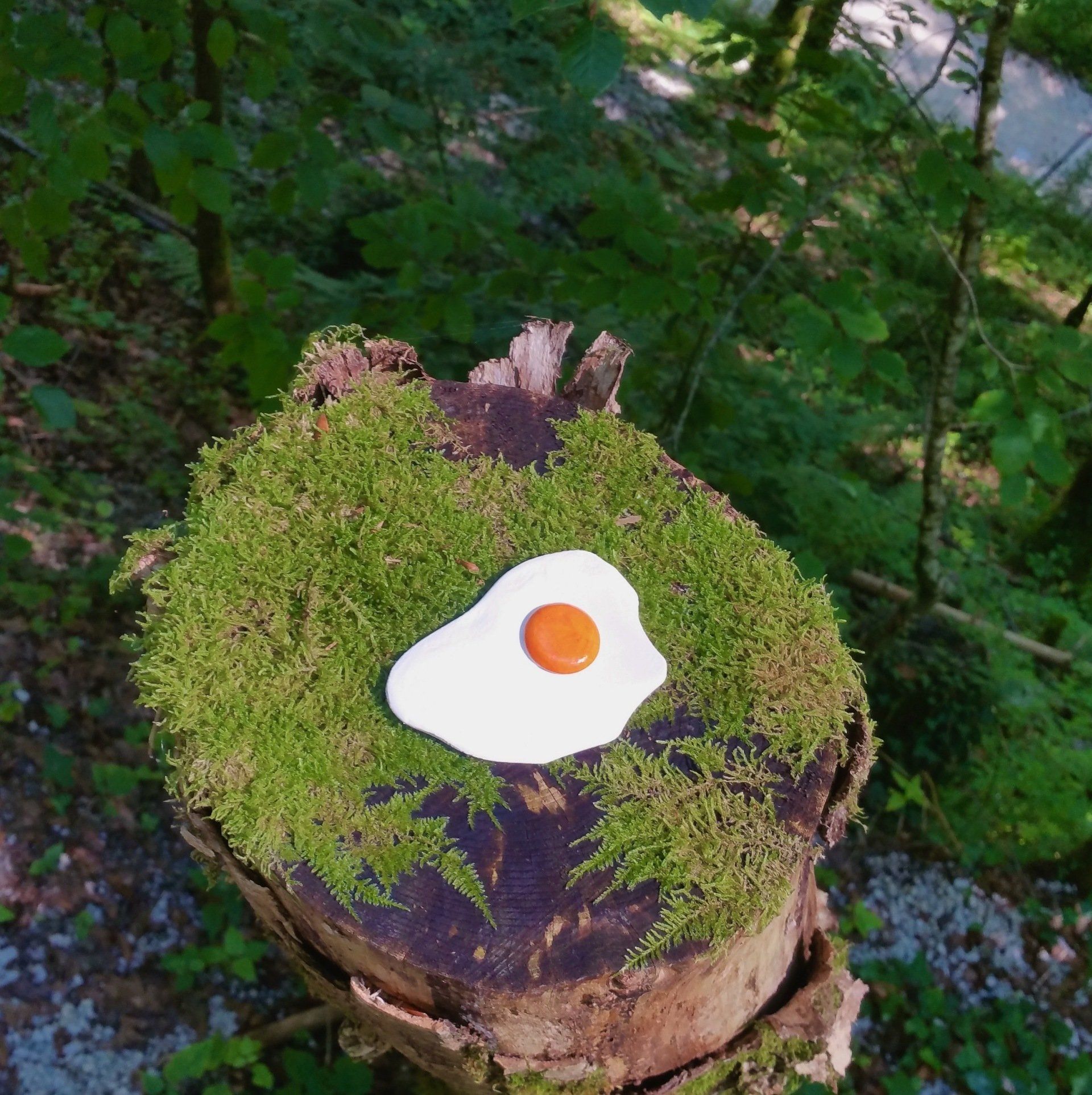 Das Bild zeigt Spiegeleier-Skulpturen von Bildhauer und Künstler Oliver Pohl aus Haste bei Wunstorf am Steinhuder Meer.