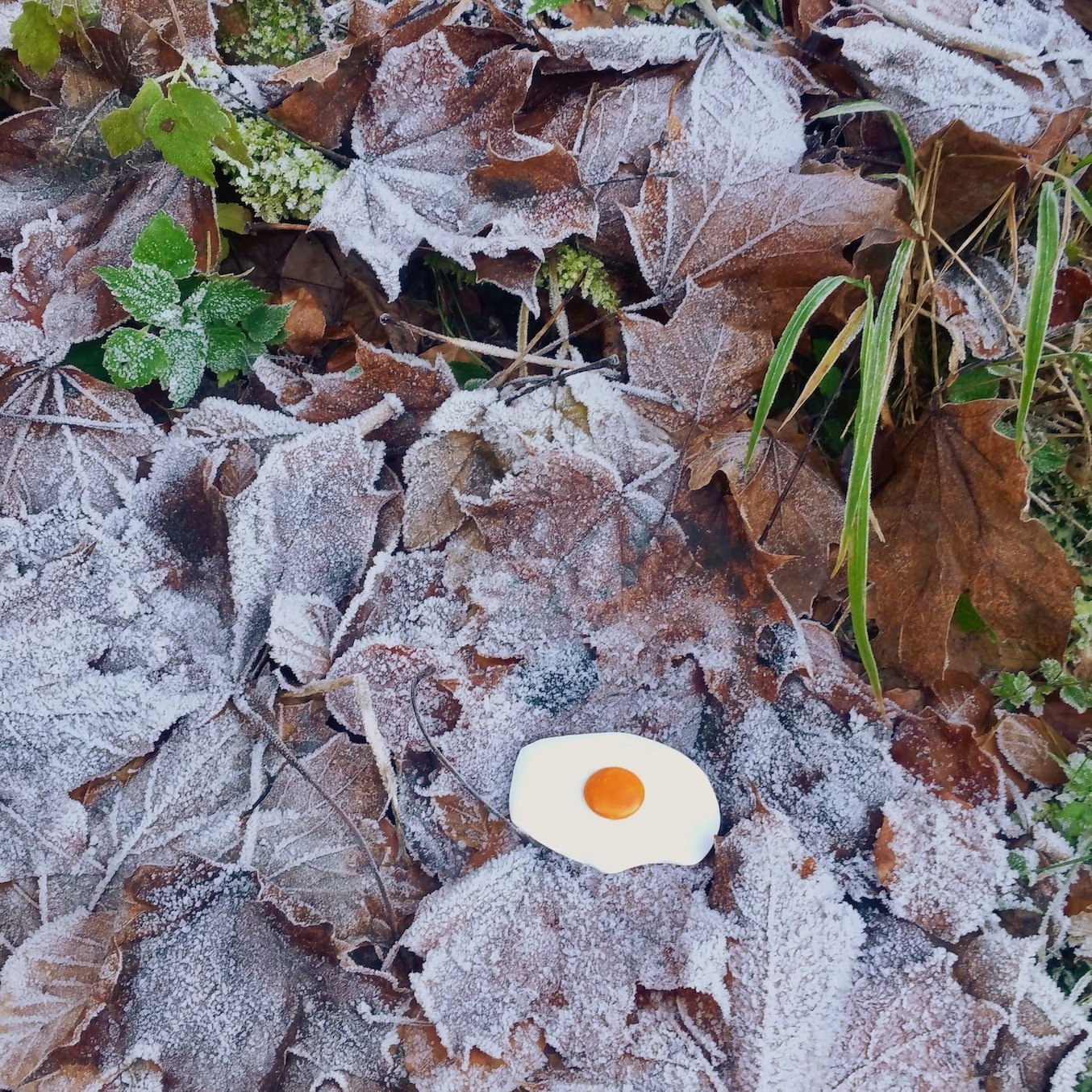 Das Bild zeigt Pop Art Spiegeleier-Skulpturen von Bildhauer und Künstler Oliver Pohl aus Haste bei Wunstorf in einer Winterlandschaft mit Schnee.