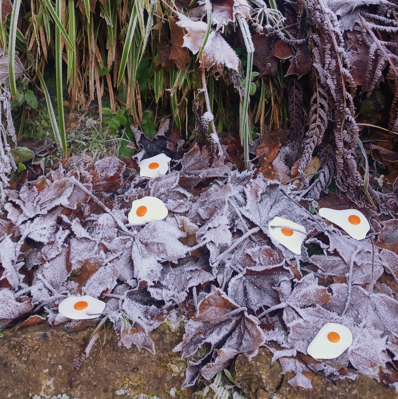 Das Bild zeigt Pop Art Spiegeleier-Skulpturen von Bildhauer und Künstler Oliver Pohl aus Haste bei Wunstorf in einer Winterlandschaft mit Schnee.