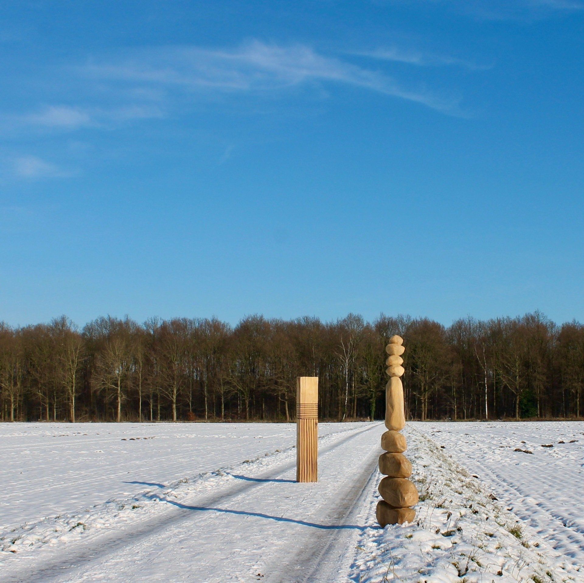 Das Bild zeigt moderne Holzskulpturen aus Holz von Bildhauer Oliver Pohl aus Haste bei Wunstorf.