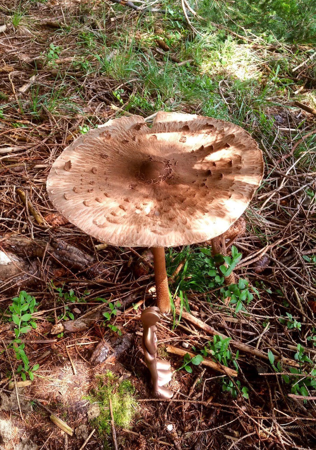Das Bild zeigt eine Bronzefigur der Serie FRIENDs von Bildhauer Oliver Pohl aus Haste im Schaumburger Land, stehend unter einem Riesenschirmling Pilz im Wald.