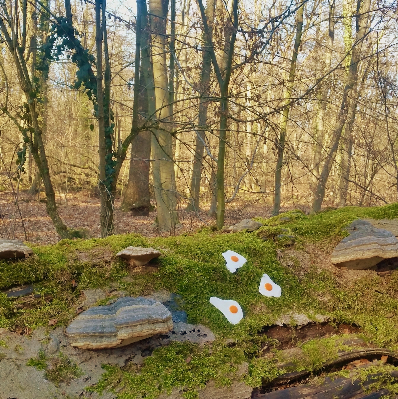 Das Bild zeigt Pop Art Spiegeleier-Skulpturen von BIldhauer und Künstler Oliver Pohl aus Haste im Schaumburger Land. Das Bild ist 2023 im Haster Wald entstanden.