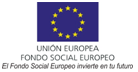 Logo FSE