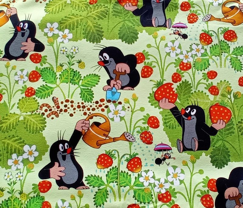 Der kleine Maulwurf im Erdbeerfeld - Kinderjersey - Handmade Kinderkleidung Mini Tilli by Sonja