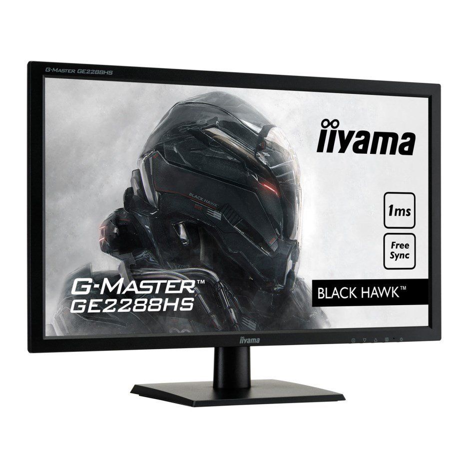 IIyama 22 Inch Monitor