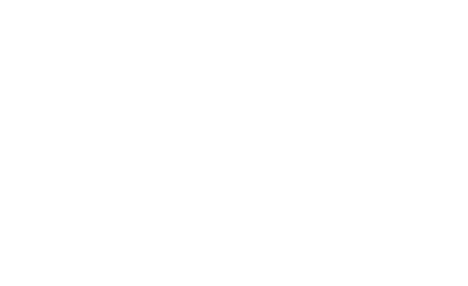 Mr. Service-Mannheim online