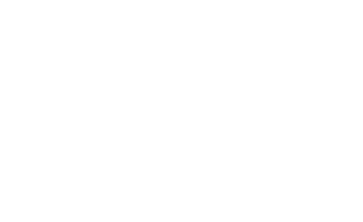 Logo Mr.Service-Mannheim Mr. Service-Mannheim online