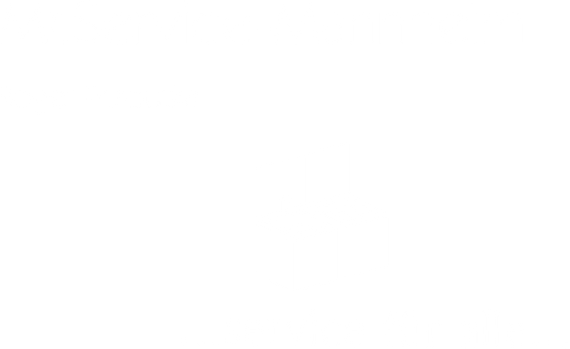Logo Mr.Service-Mannheim Mr. Service-Mannheim online