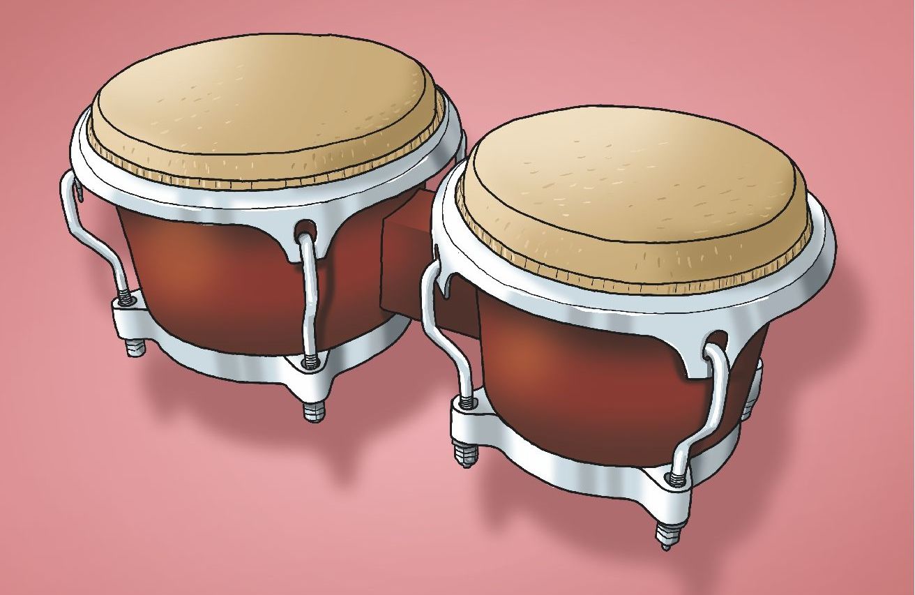 Bongo maßstabsgerecht gezeichnet